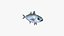 Bigeye Scad