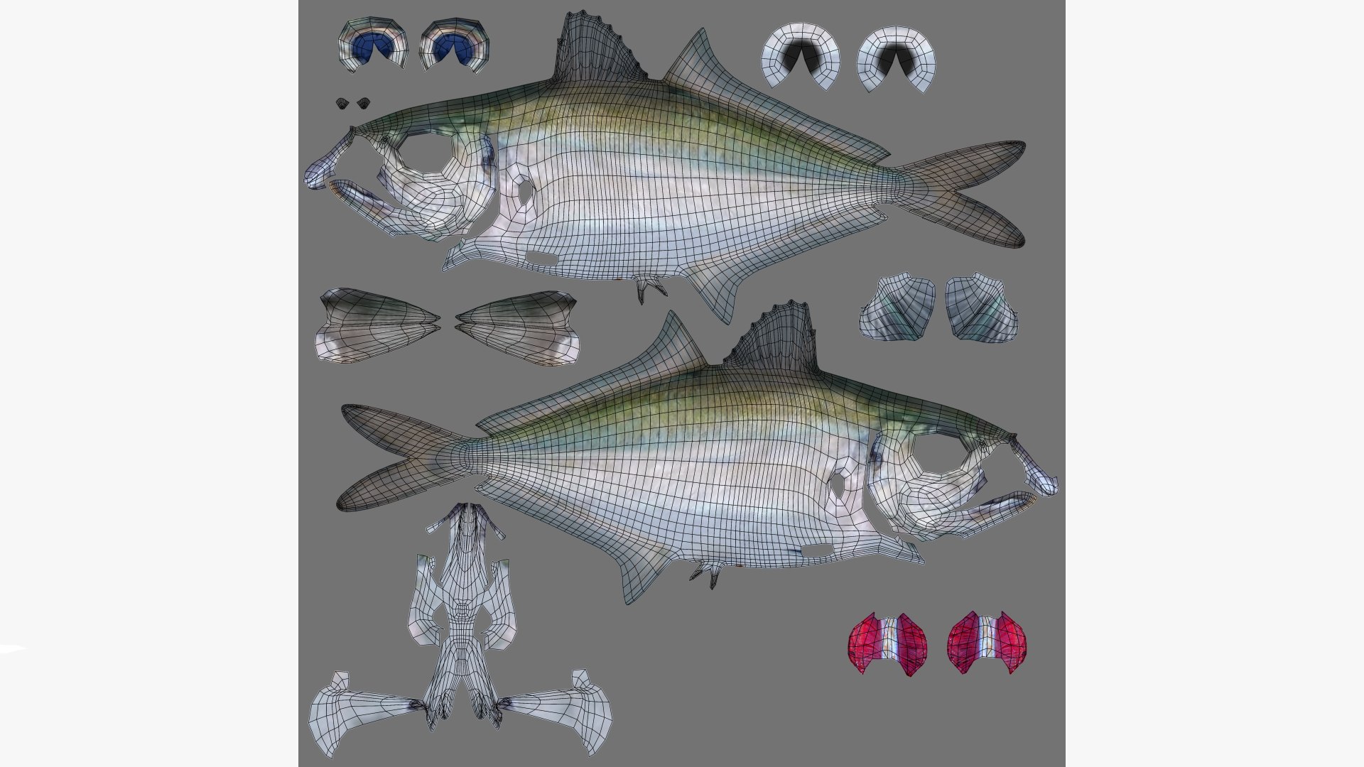 3D Bigeye Scad https://p.turbosquid.com/ts-thumb/A9/rwoUEG/xS/bigeye_scad_selar_crumenophthalmus_fish_3d_model_by_andreas_piel_uv_map/png/1739227751/1920x1080/fit_q87/67151d13224b4aff289c7ec1ddea1101501c6d29/bigeye_scad_selar_crumenophthalmus_fish_3d_model_by_andreas_piel_uv_map.jpg