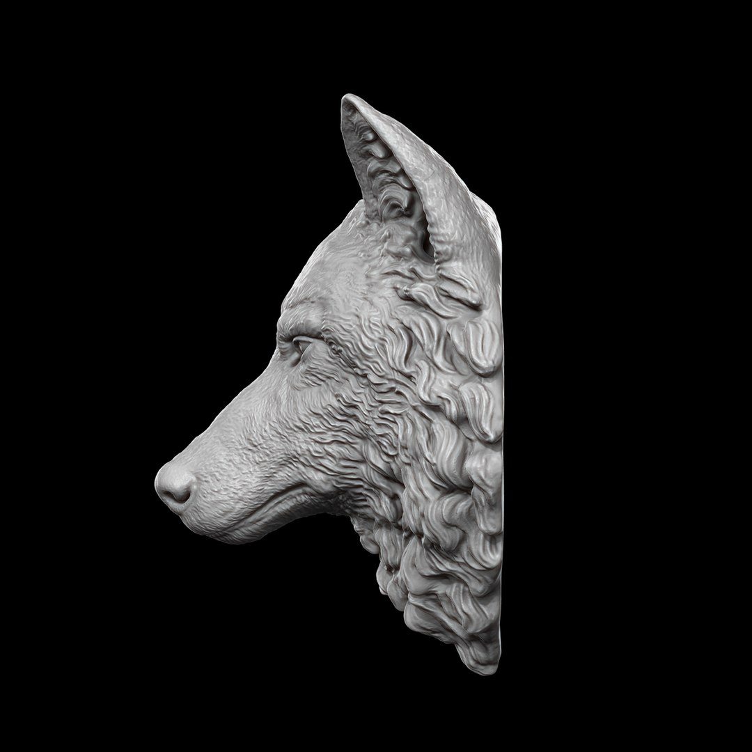 3D model wild wolf head - TurboSquid 1304711