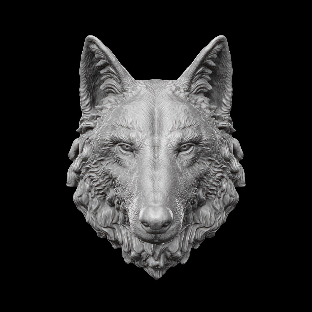 3D model wild wolf head - TurboSquid 1304711