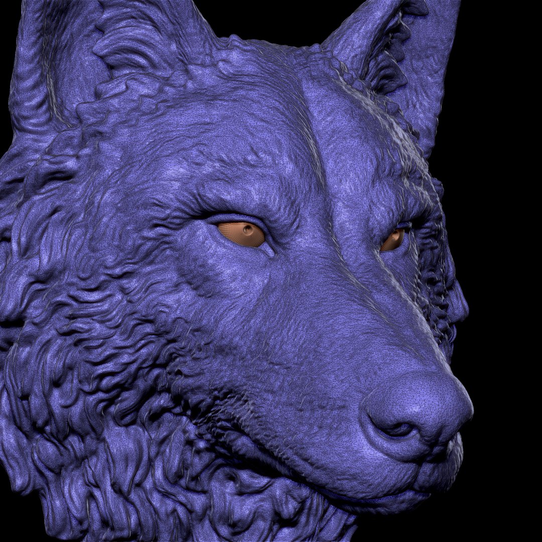 3D model wild wolf head - TurboSquid 1304711