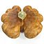 walnut kernel nut 3d model