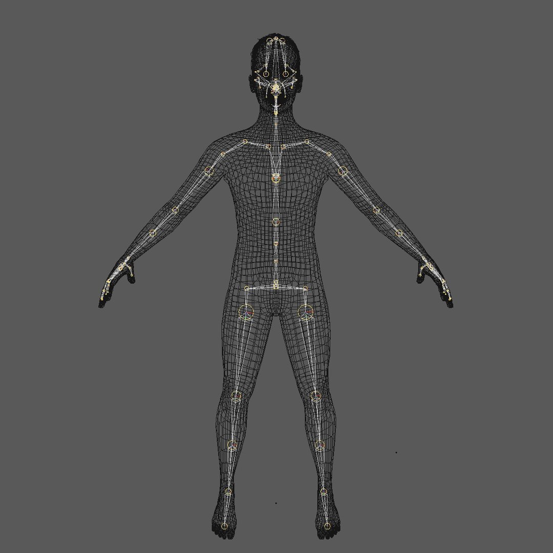 base mesh 25 year c4d https://p.turbosquid.com/ts-thumb/AA/FS3h7F/AzvmW8PK/25yreuromanv3brun24/jpg/1446489328/1920x1080/fit_q87/d19278108b9d05a187b8d56a9619fa9149a69863/25yreuromanv3brun24.jpg