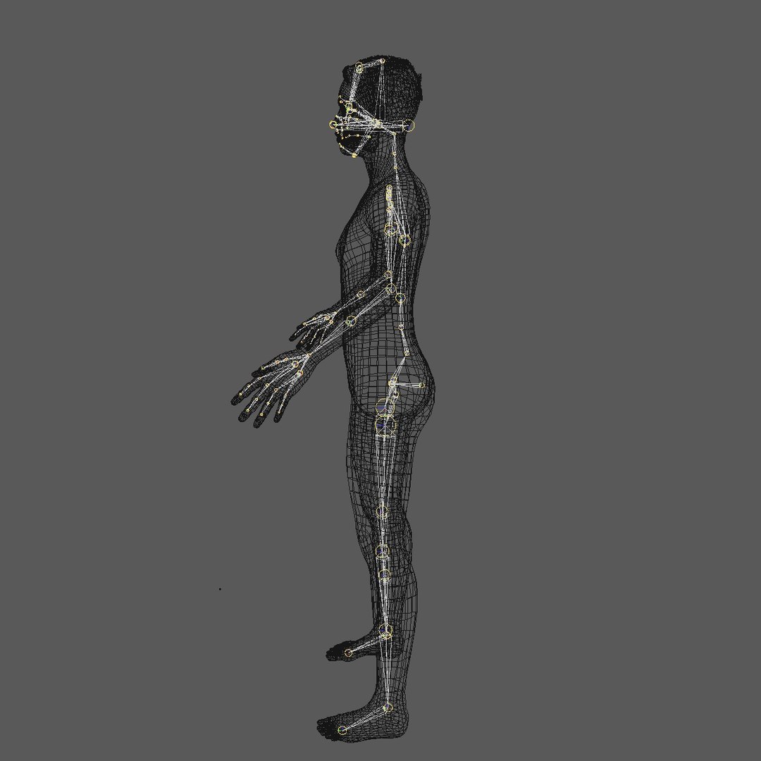 base mesh 25 year c4d https://p.turbosquid.com/ts-thumb/AA/FS3h7F/YPCKuKI8/25yreuromanv3brun26/jpg/1446489328/1920x1080/fit_q87/c2ede5b8142f7b719bdea040618d3ba257e18448/25yreuromanv3brun26.jpg