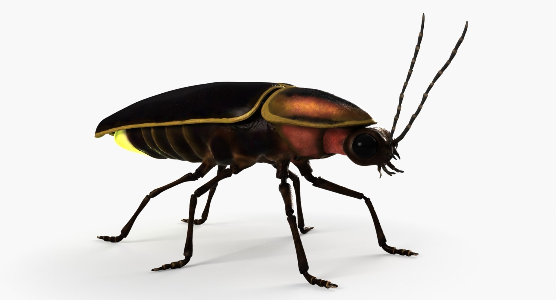 3D model firefly lighting https://p.turbosquid.com/ts-thumb/AA/ZptqCV/NIuGcUbk/firefly_sign_b/jpg/1493879576/1920x1080/fit_q87/b40899f50d74744660abb1b5fb263e729cf64438/firefly_sign_b.jpg