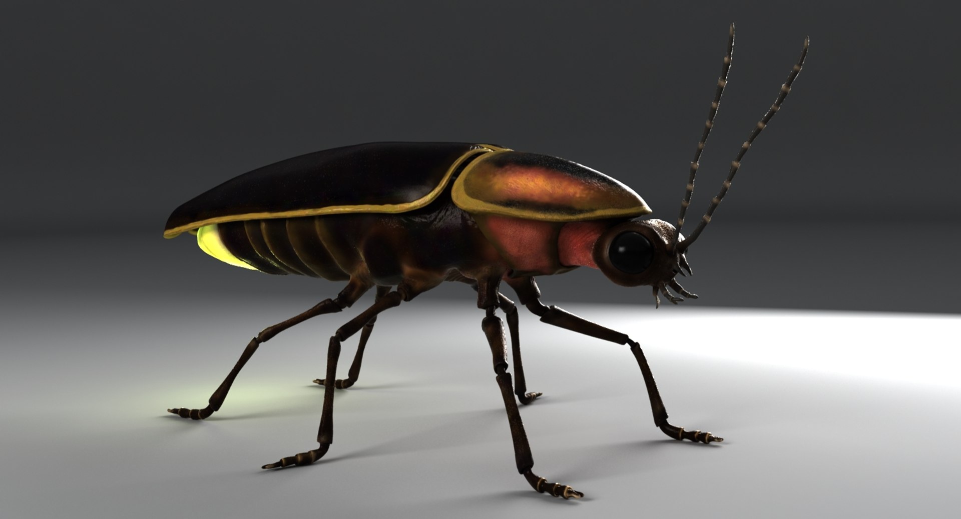 3D model firefly lighting https://p.turbosquid.com/ts-thumb/AA/ZptqCV/Rjn5GkPa/firefly_context/jpg/1493879582/1920x1080/fit_q87/66da88719c82f117a9997a17e28b996e99d8c66b/firefly_context.jpg
