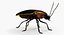 Firefly