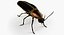 Firefly