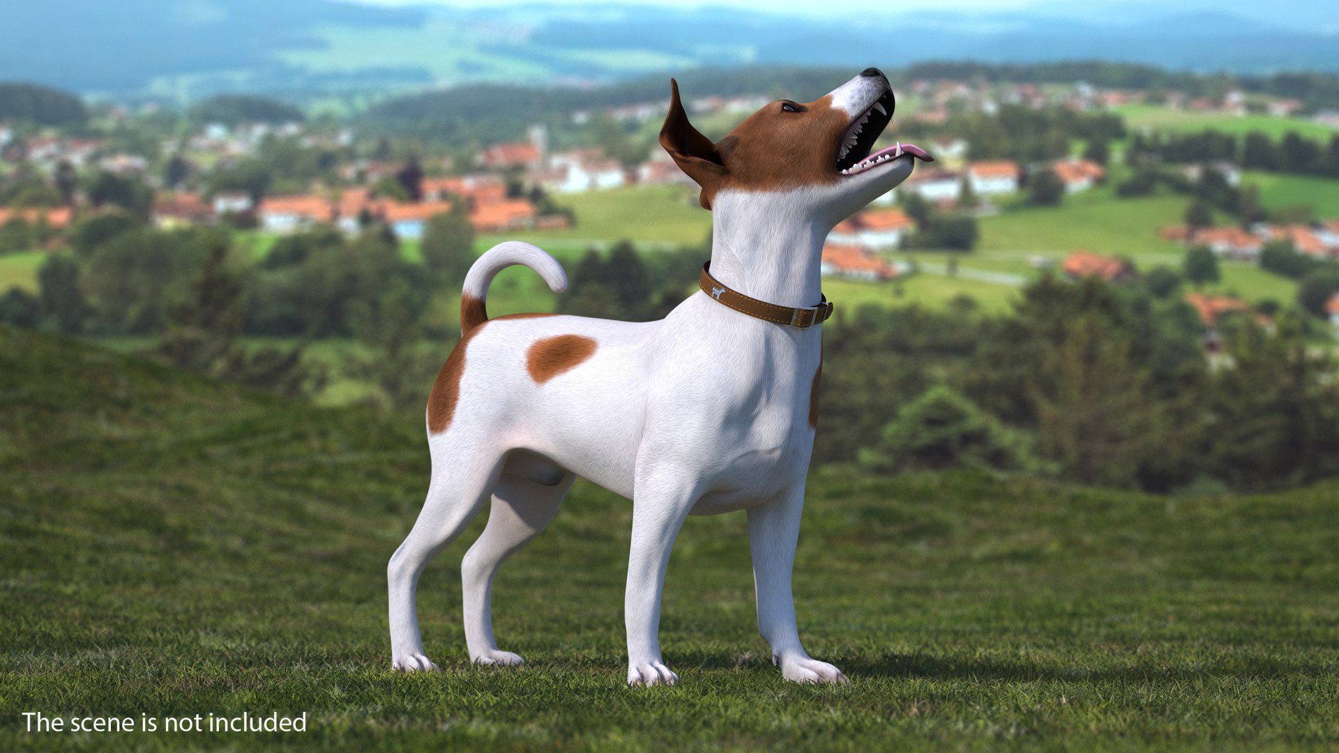 Jack Russell Terrier Spotted Waiting Pose 3D model preview