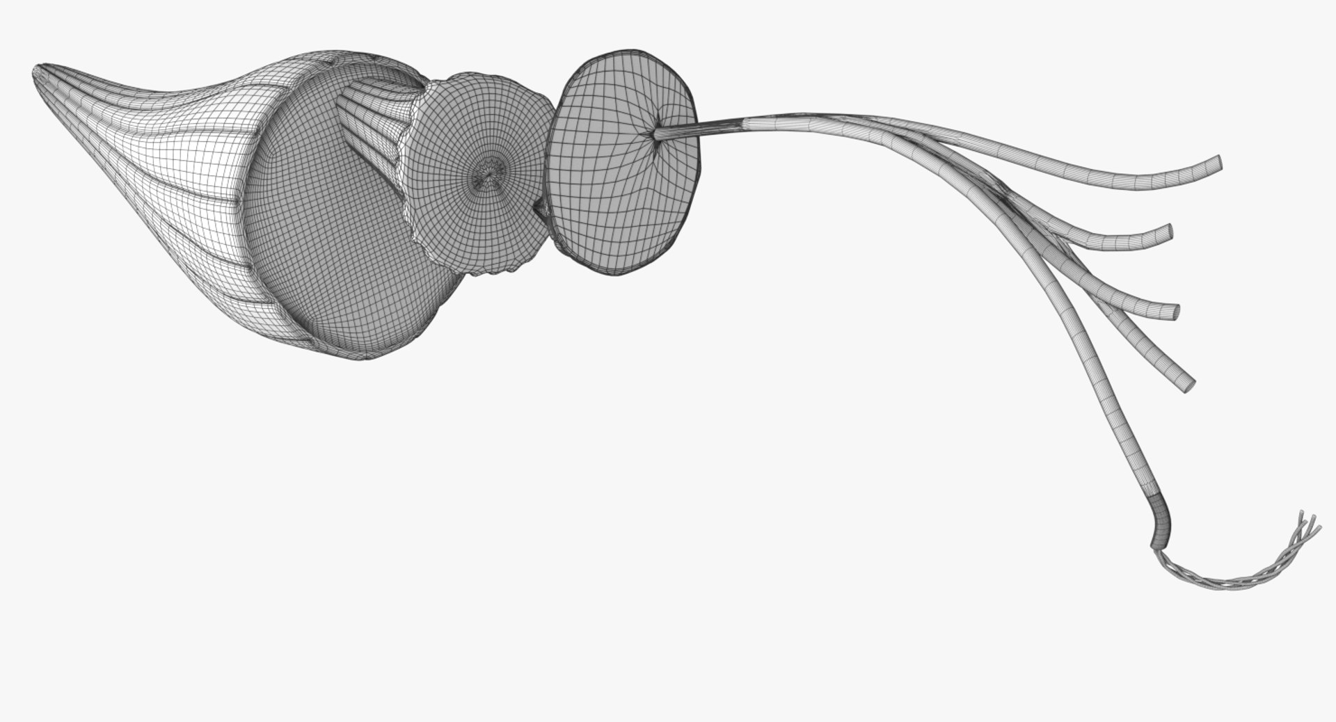 muscle 3D https://p.turbosquid.com/ts-thumb/AA/mbhcVu/NsOBAkll/hg/png/1535182166/1920x1080/fit_q87/a4994340e61091822b4748a53956a39c5013914c/hg.jpg