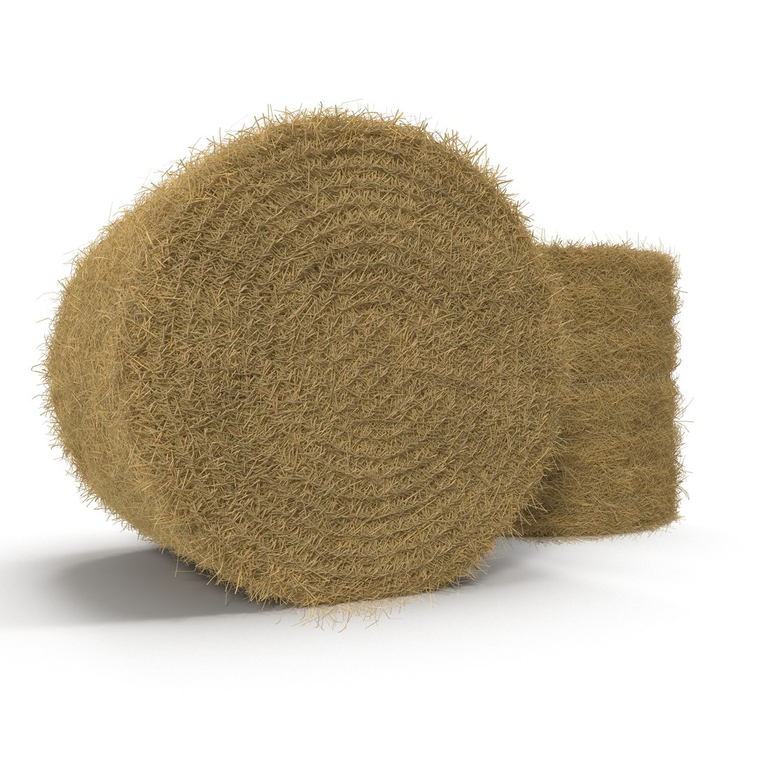 Hay Roll 3D model preview