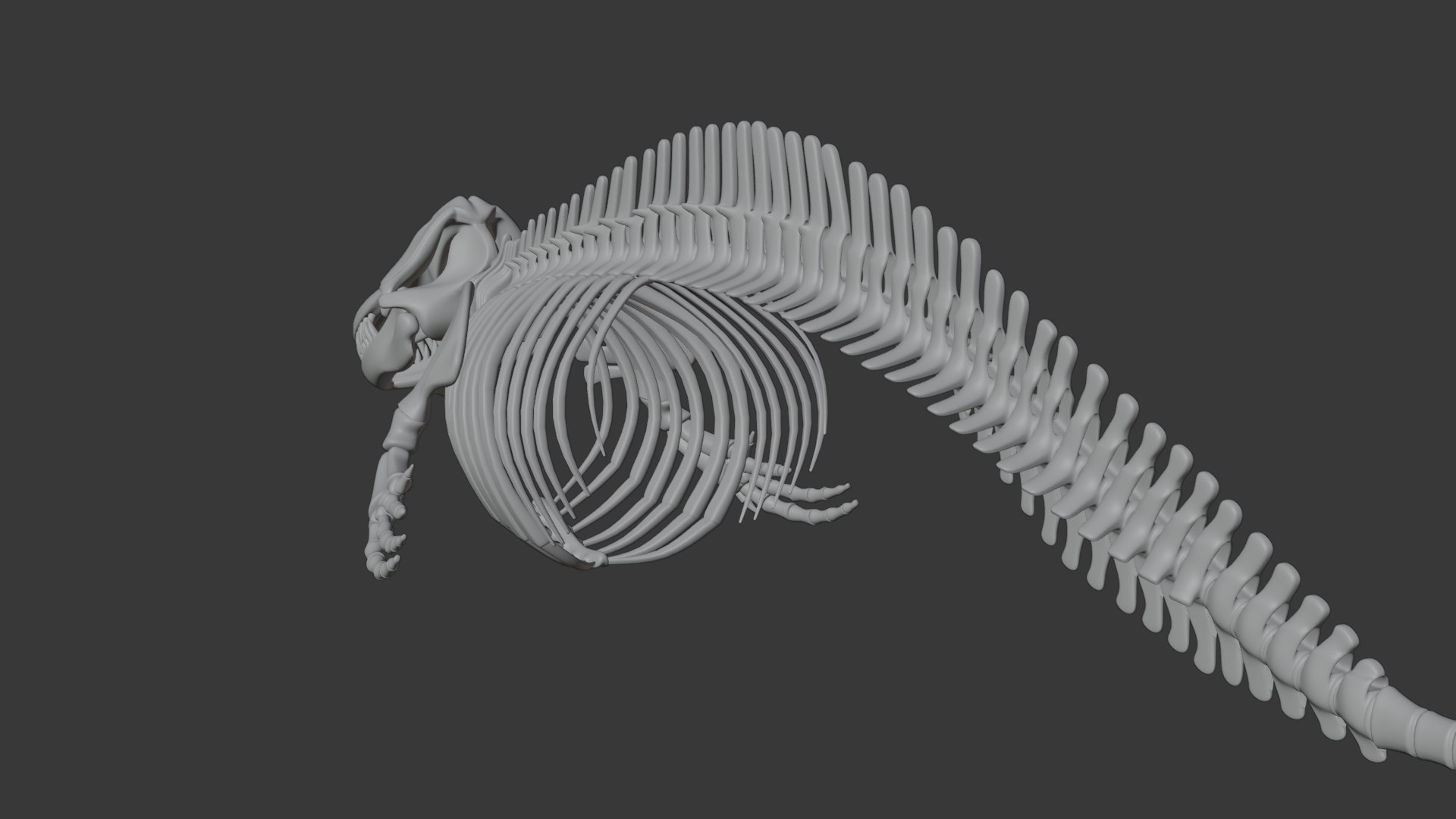 3D Orca Skeleton Realistic Killer Whale Bone Structure Asset ...