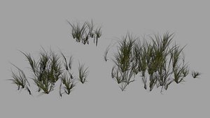 Grass 3D model