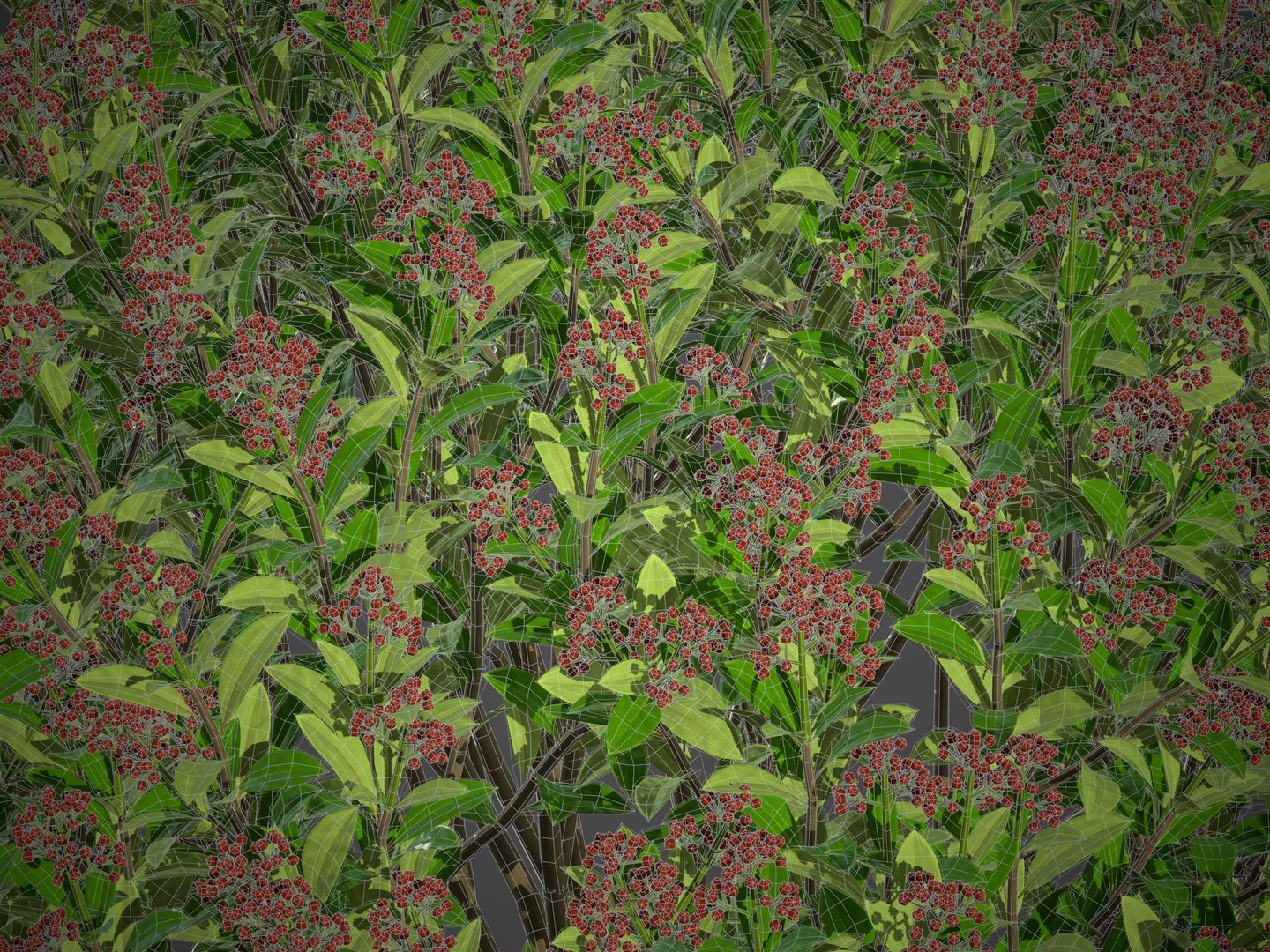 XfrogPlants Japanese Skimmia - Skimmia Japonica 3D https://p.turbosquid.com/ts-thumb/AB/NVjpDZ/qd/screenshot021/jpg/1628271638/1920x1080/fit_q87/26f54c4425d41673771a8fc5b68963caae0c38e4/screenshot021.jpg