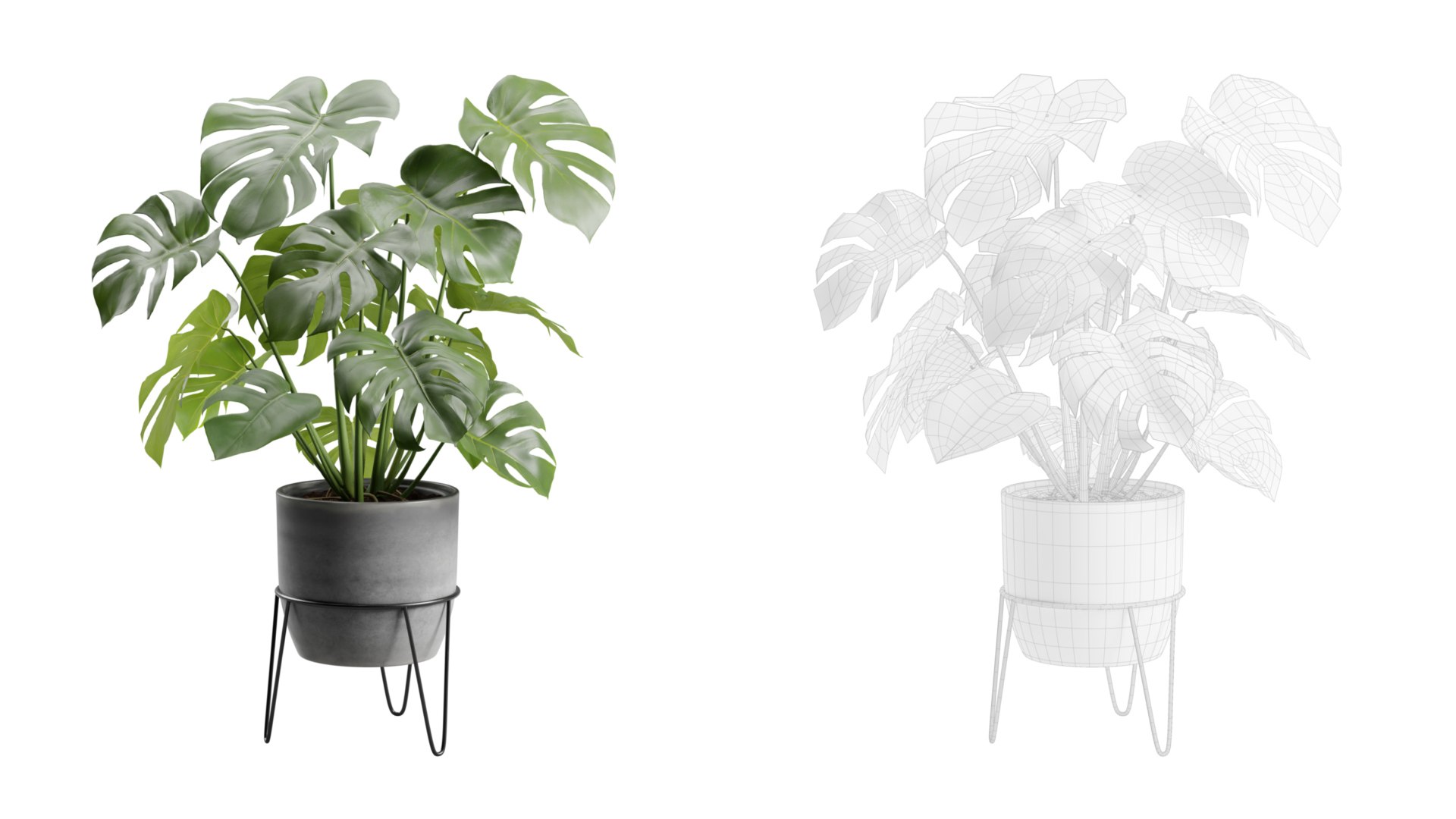 Monstera Deliciosa Pot Stand 3D https://p.turbosquid.com/ts-thumb/AB/PUeFfJ/7e/previewts02_0000/jpeg/1704414777/1920x1080/fit_q87/28a0a0de1542aaee99220c0afd9bbdbd9122f1b3/previewts02_0000.jpg
