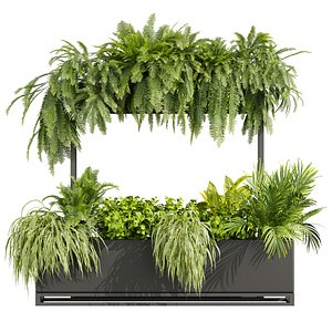 3D plant vol 817 - fern - peace lily - banana - palm