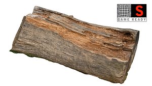 3d model bough scanned ready