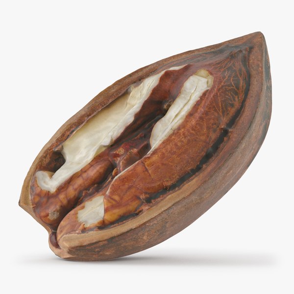 Pecan Nut Shell Open 01 3D - TurboSquid 1984265