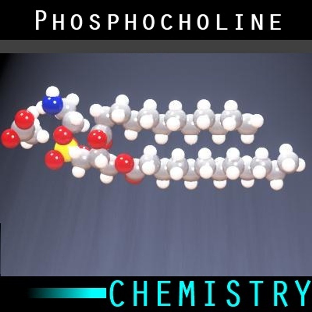 molecule phosphocholine 3d max