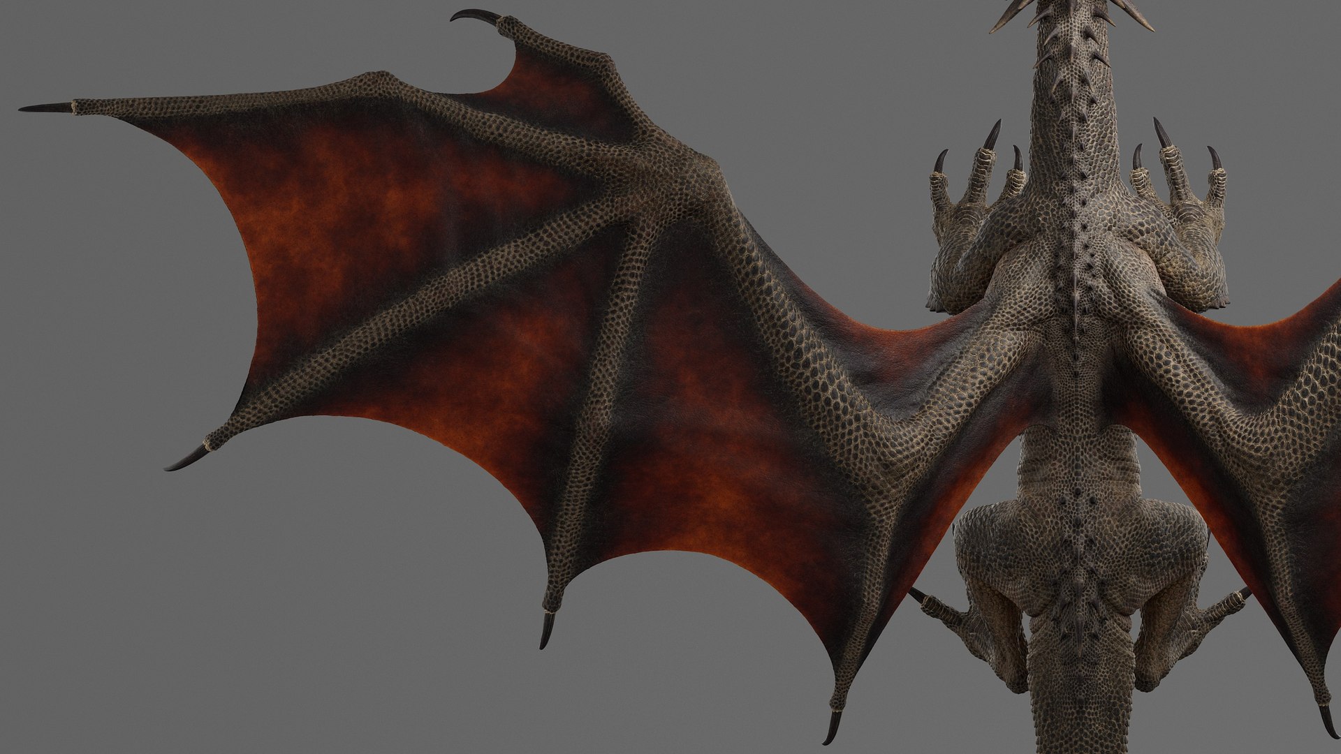 modèle 3D de Dragon adulte truqué - TurboSquid 1767258