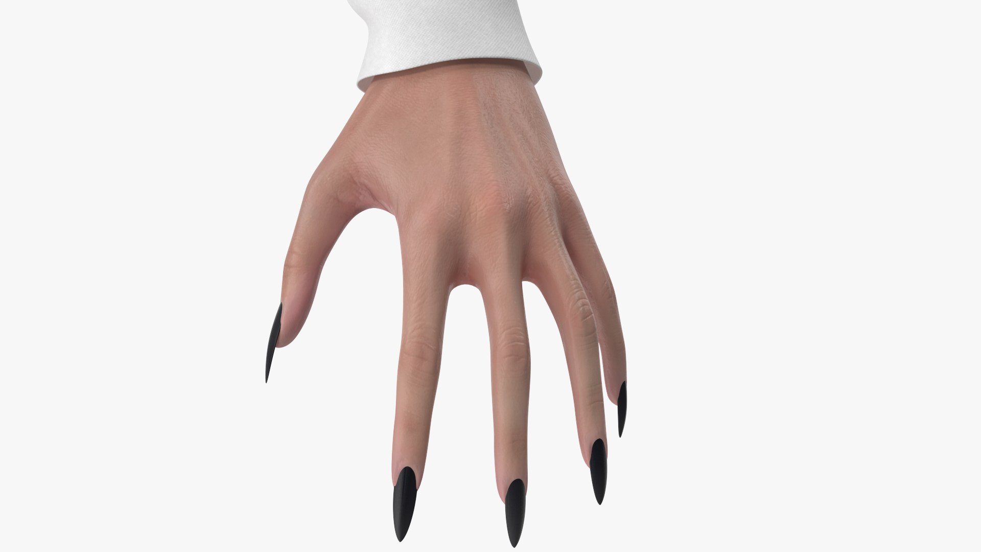 Witch 15 3D https://p.turbosquid.com/ts-thumb/AB/jvL4Up/6Z/angles_43/jpg/1700802194/1920x1080/fit_q87/e17283f72bae30ca23d0c27189ff30cc7db3b388/angles_43.jpg