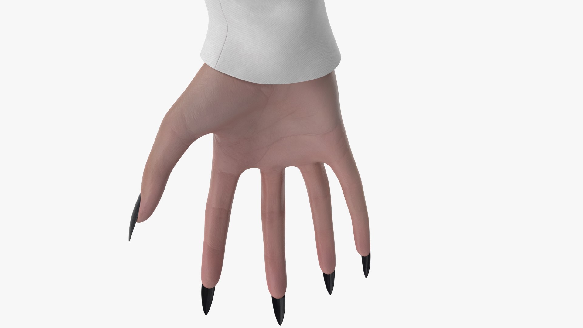 Witch 15 3D https://p.turbosquid.com/ts-thumb/AB/jvL4Up/7g/angles_42/jpg/1700802186/1920x1080/fit_q87/623dd62eb89291092e304bee7132b78dc12a9231/angles_42.jpg