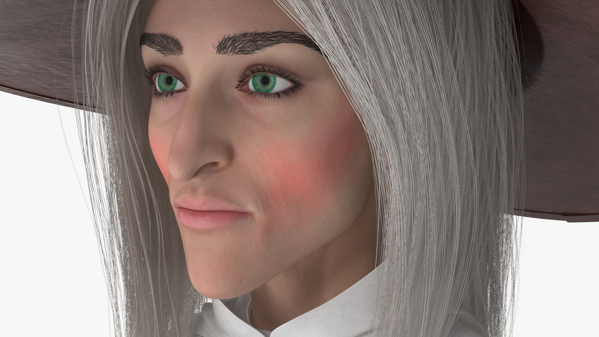 Witch 15 3D https://p.turbosquid.com/ts-thumb/AB/jvL4Up/LF/angles_31/jpg/1700802092/1920x1080/fit_q87/2218ef334bdc6b58e00b47e1284548e18f096133/angles_31.jpg