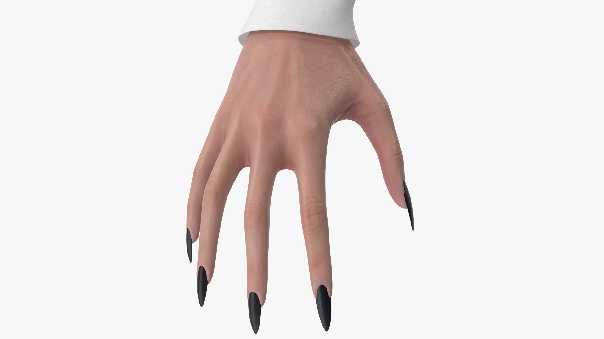 Witch 15 3D https://p.turbosquid.com/ts-thumb/AB/jvL4Up/j2/angles_41/jpg/1700802176/1920x1080/fit_q87/c74732f4e0a7263ecb81f2ad3a320e53f84388ef/angles_41.jpg