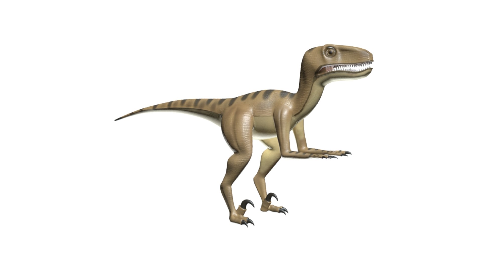 3d model velociraptor https://p.turbosquid.com/ts-thumb/AB/sEkPx2/H8WtPiLj/raptor03/jpg/1343677250/1920x1080/fit_q87/7b21f17bd972b00752b25ea76ad90f0c9ee62e83/raptor03.jpg