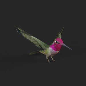 3D realistic hummingbird