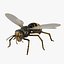 wasp 3D model