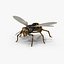 wasp 3D model