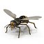 wasp 3D model