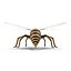 wasp 3D model
