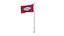 Pole Flag Arkansas