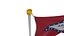Pole Flag Arkansas