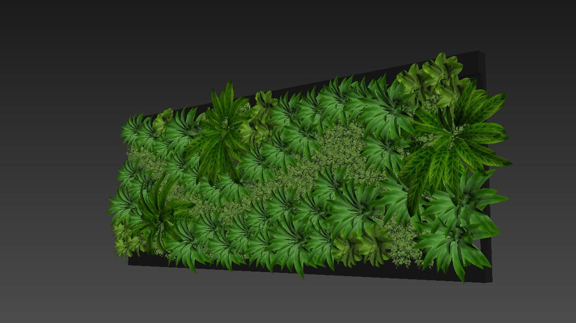 vertical garden 3D model https://p.turbosquid.com/ts-thumb/AC/7MJJ9C/4AVziSWj/4/jpg/1500150148/1920x1080/fit_q87/8f908998625013466bdfdf869774413ef745bca1/4.jpg