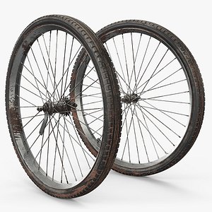 Classic Spoked Bike Wheels Dirty Used