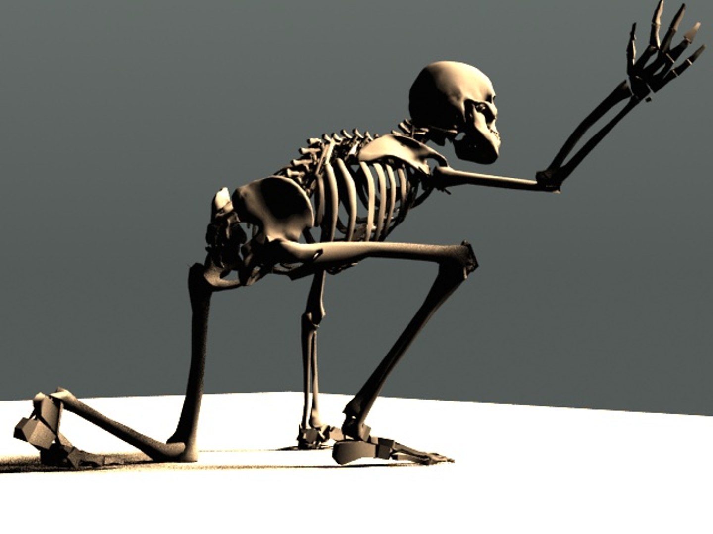 Skeleton Rigged 3d Model Turbosquid 1174389