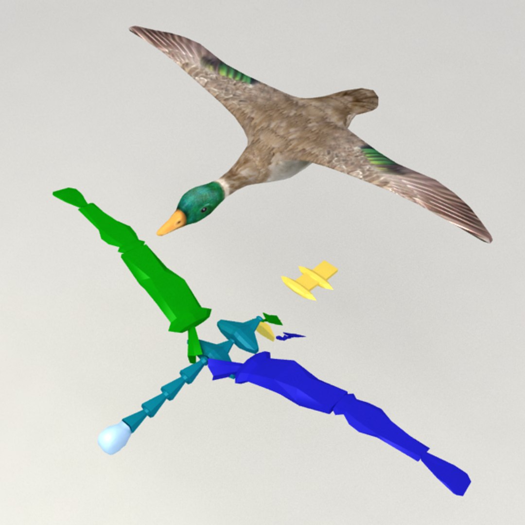 Rigged Flying Duck 3d 3ds