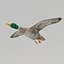 rigged flying duck 3d 3ds