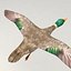 Modelo de pato volador aparejado lowpoly