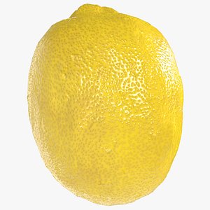 Lemon Fruit 3D