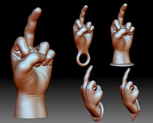 Middle finger flip off bird hand gesture 3D printable model