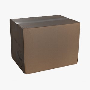 3D Cardboard Box