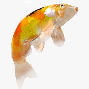 3D Japanese Carp Fish Rigged L1699
