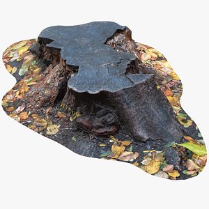 Rotten Tree Stump - Game Asset 3D model