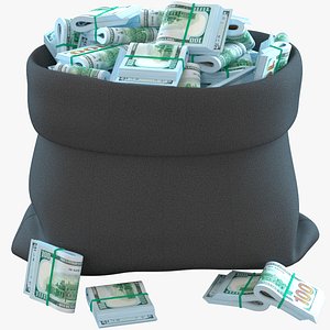 3D Money Bag