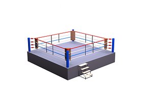 3D model competition boxing ring