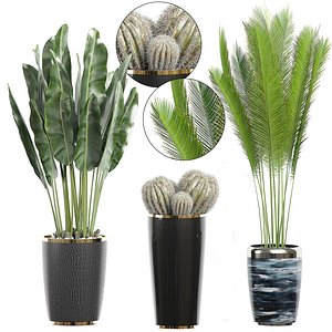 potted plants 71 3D